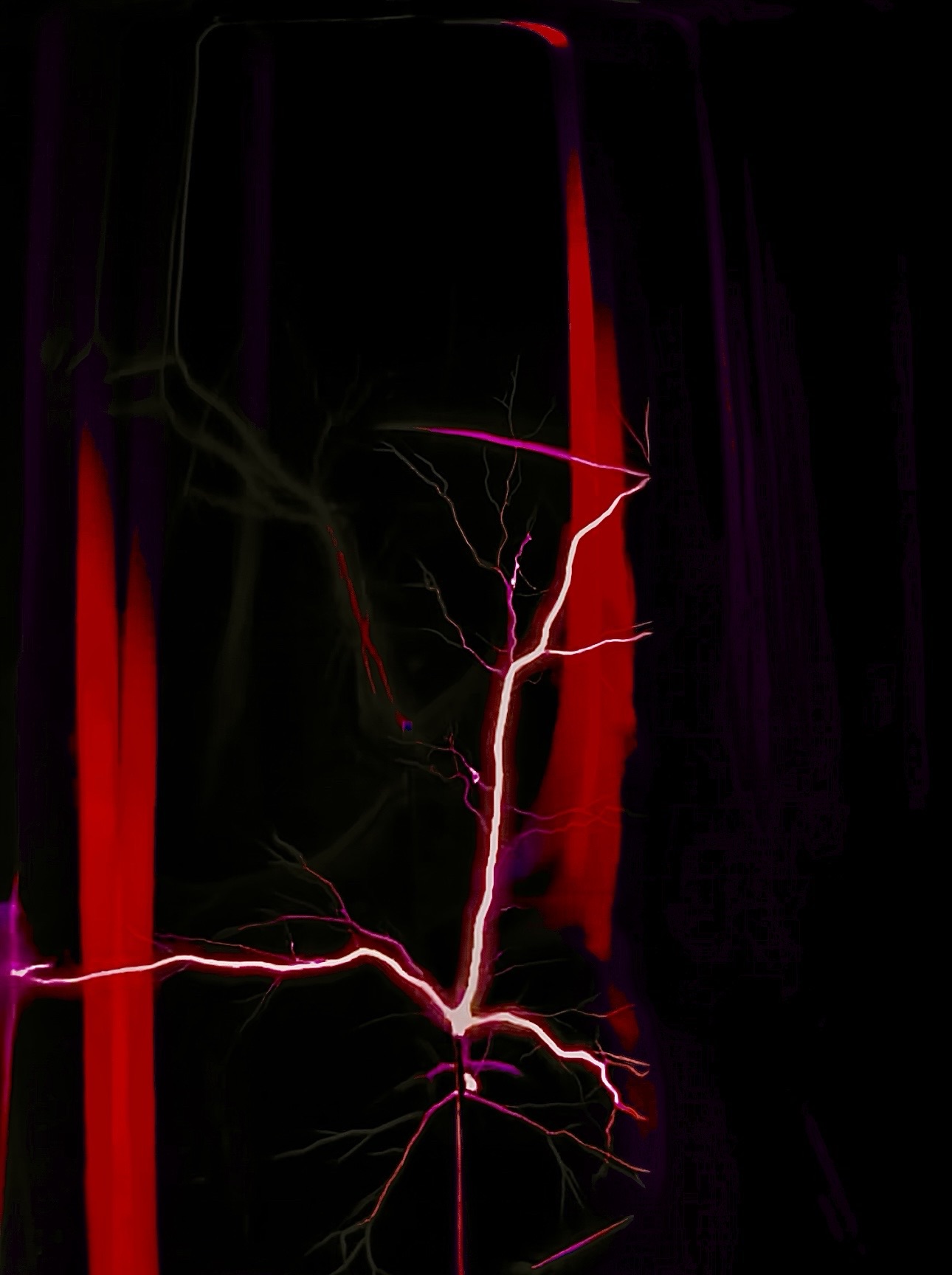 Tesla Coil Charge Patterns