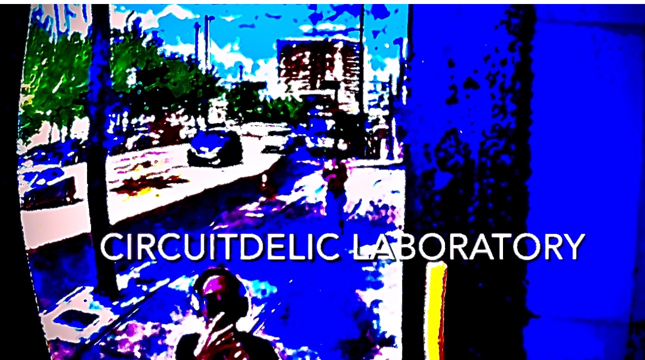 CIRCUITDELIC SOUND SYSTEM