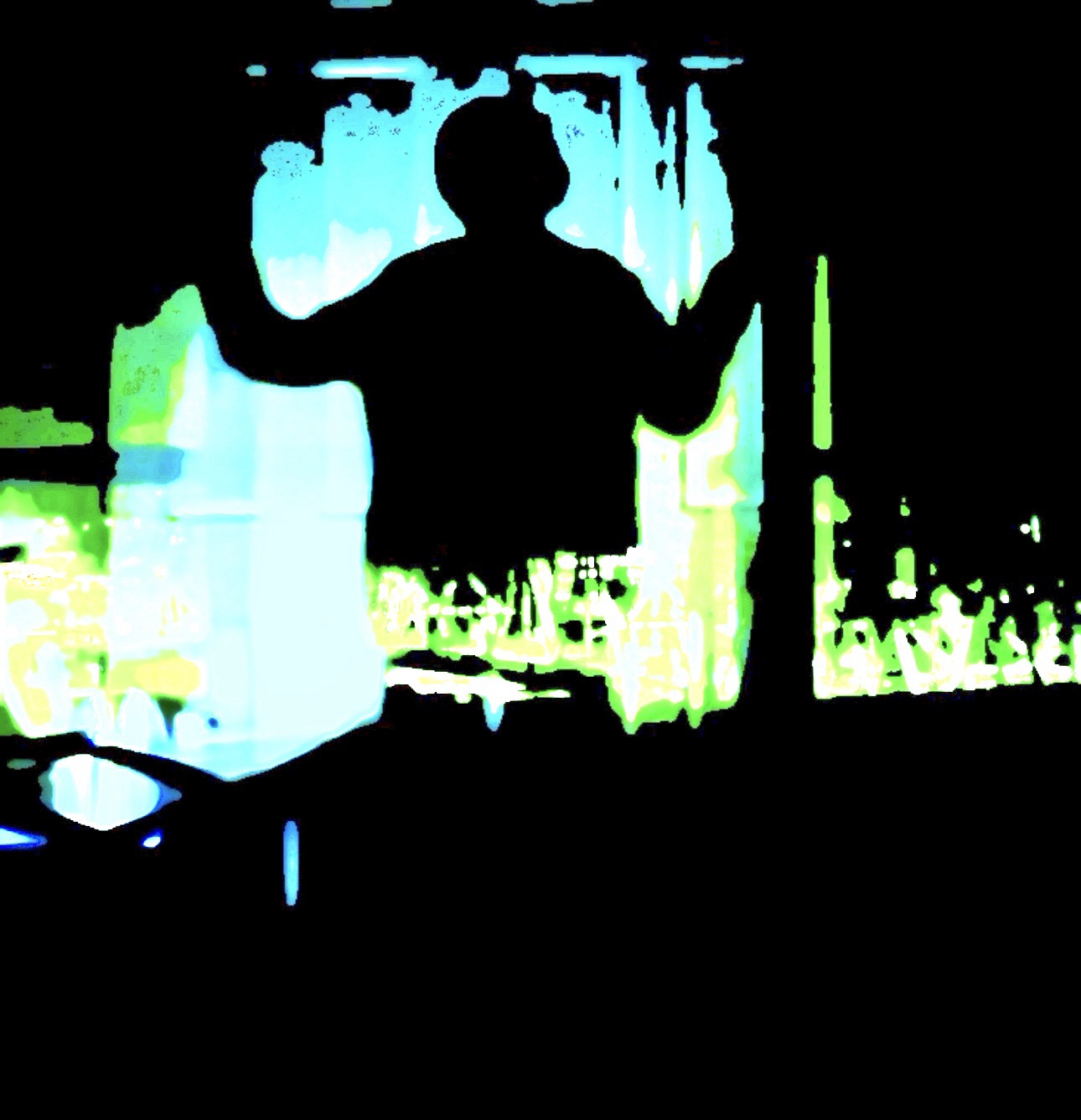 “Reflections in Recursion: The Self Seen Through Signal”