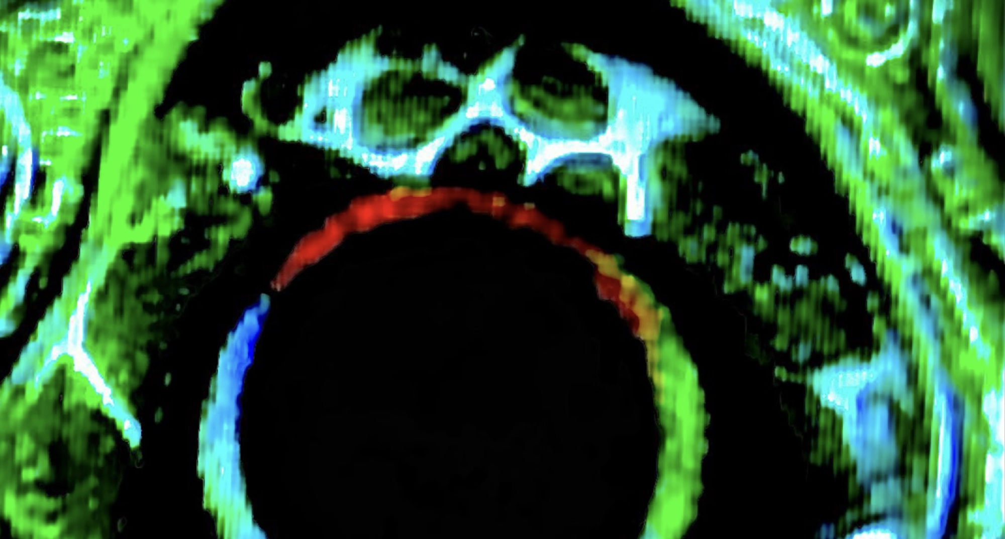 Experimental Multimedia