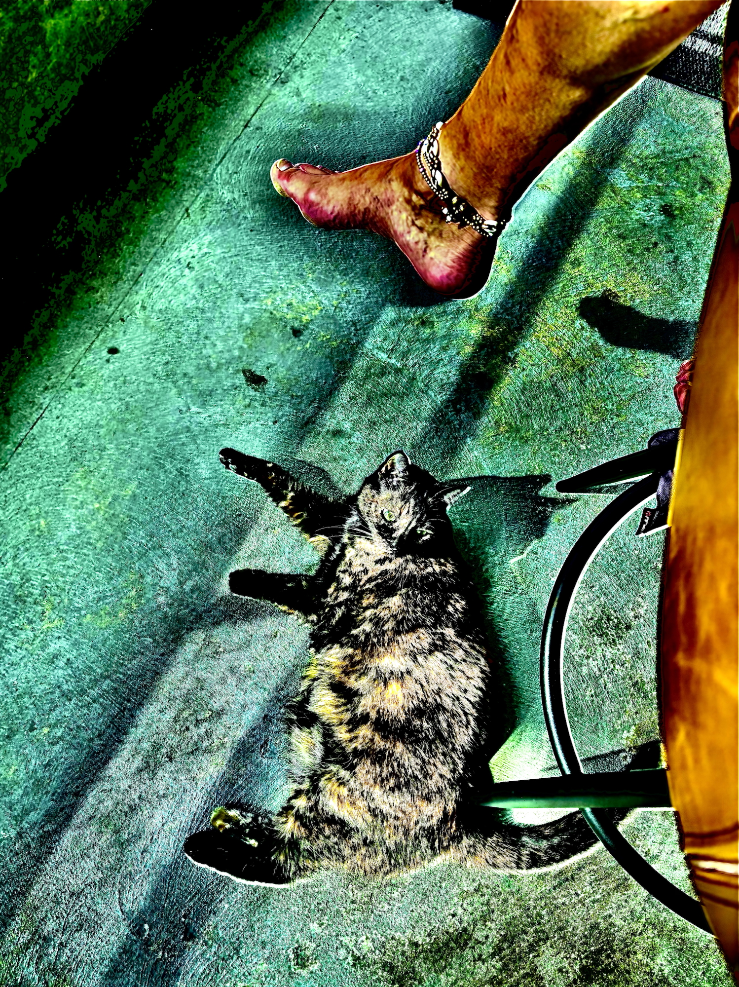 The “Real” Circuitdelic Laboratory