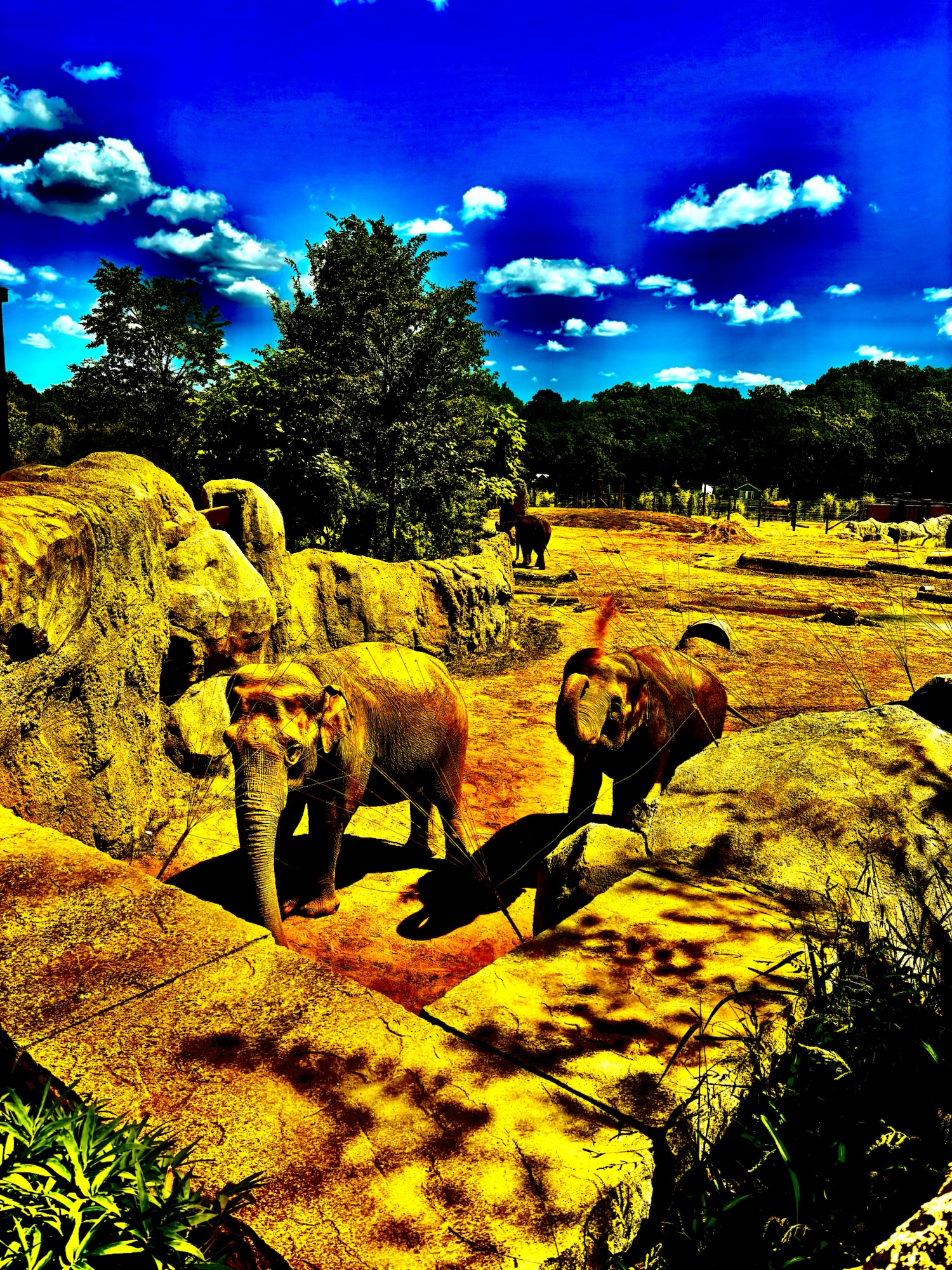 Circuitdelic Laboratory at the Zoo