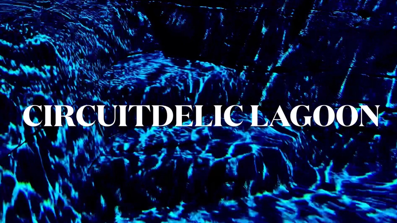 Circuitdelic Lagoon