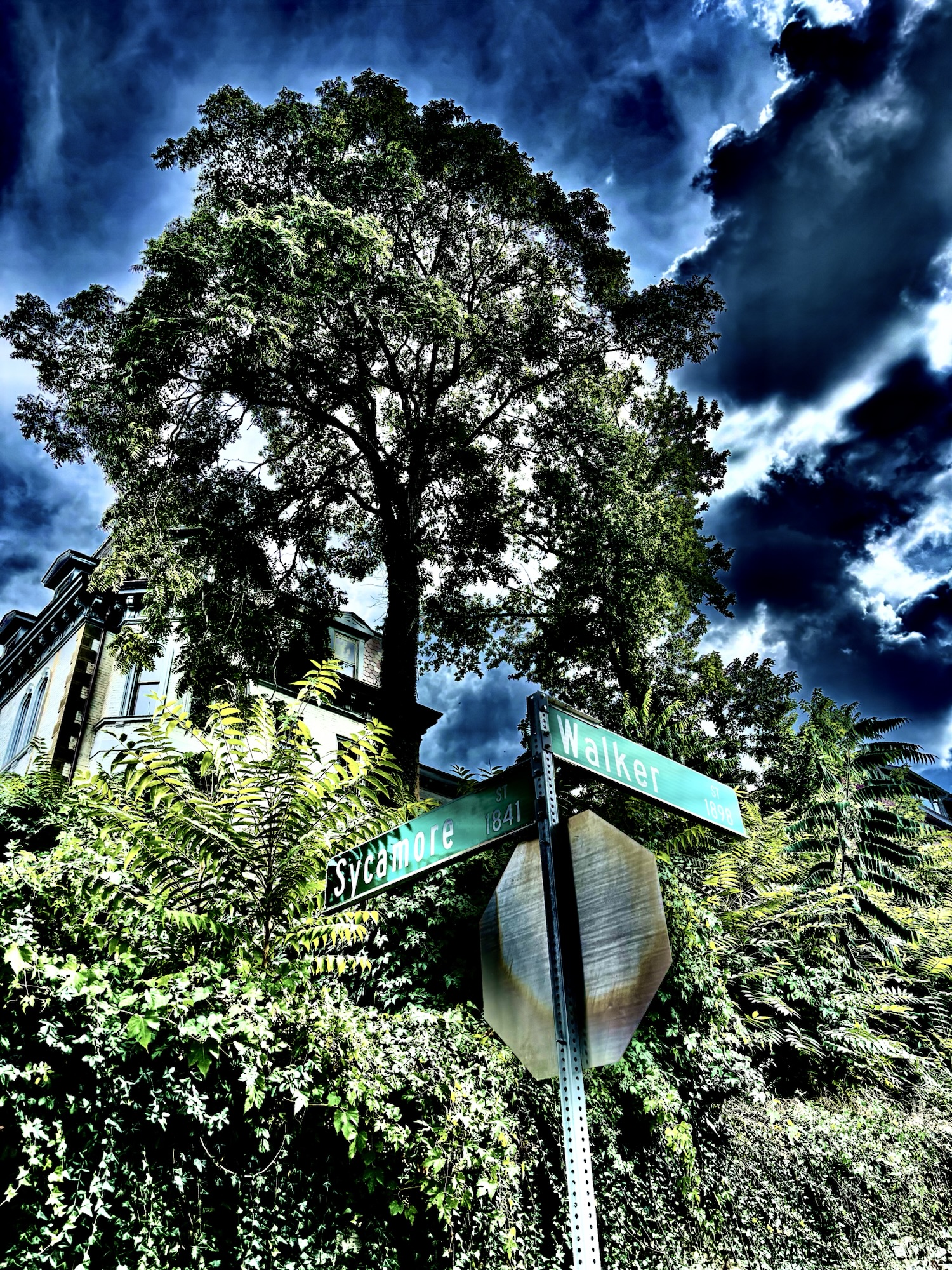 Walker Street Release