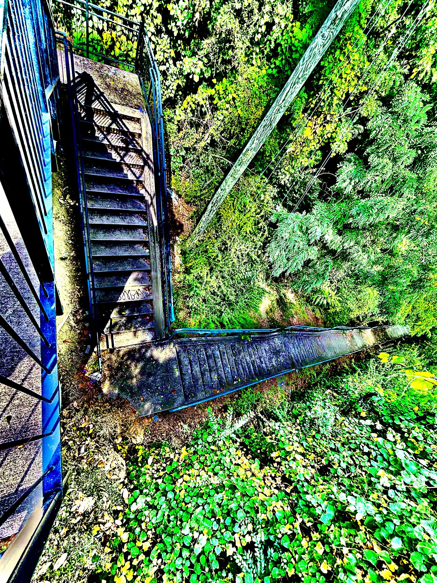 A Climb. A Meal. A Descent.