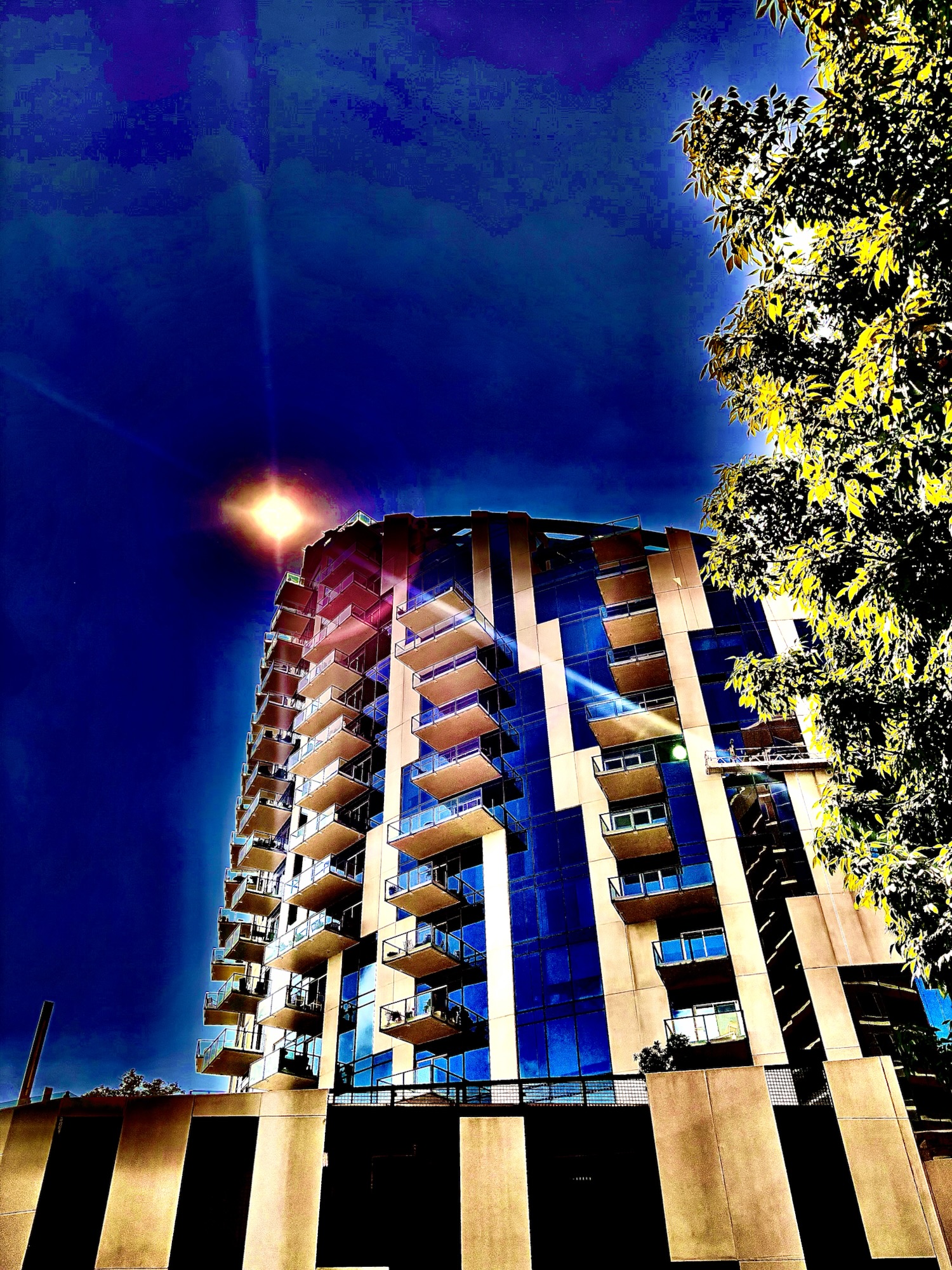 The Light and the Wave