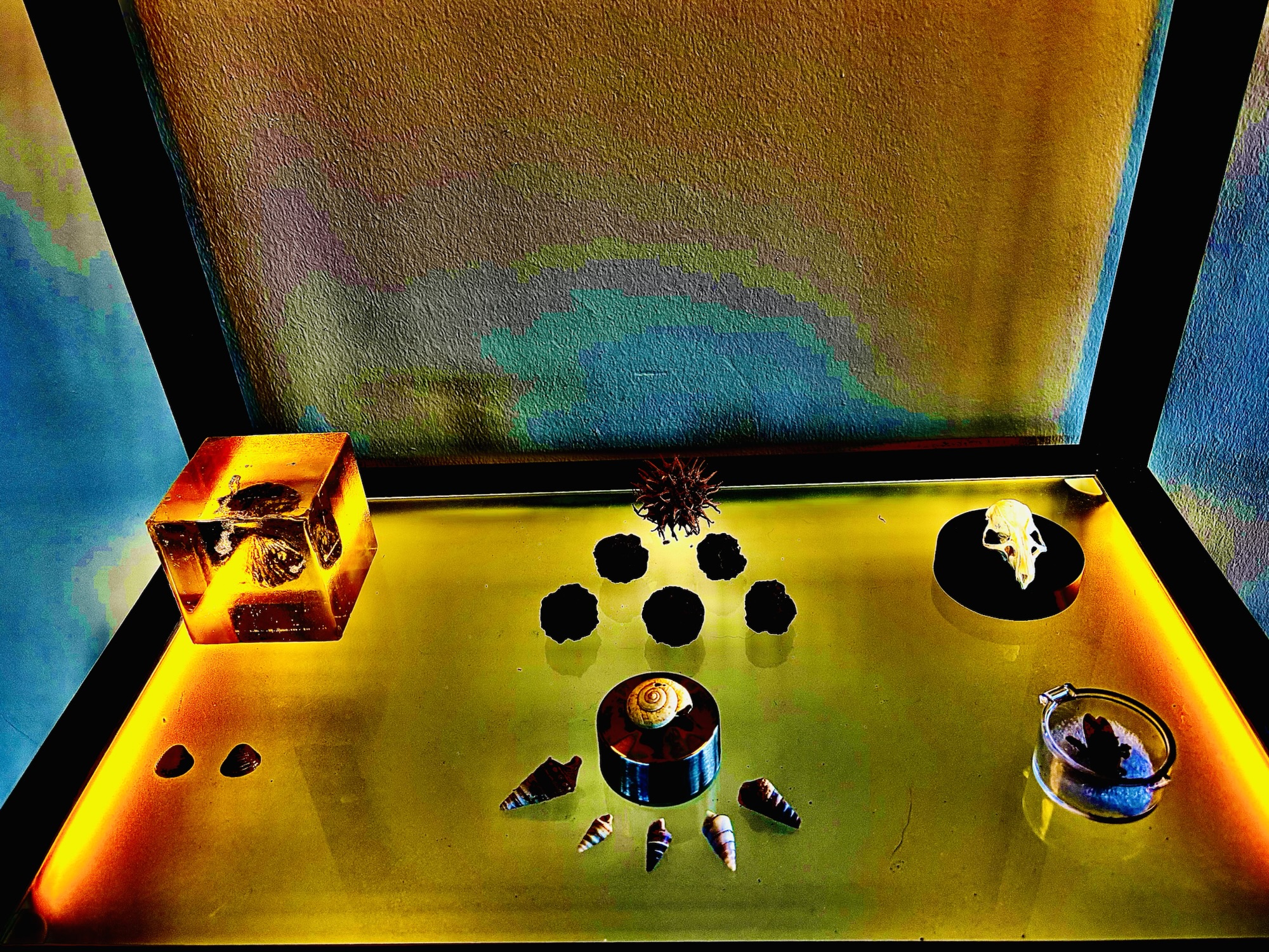 Museum of Natural History