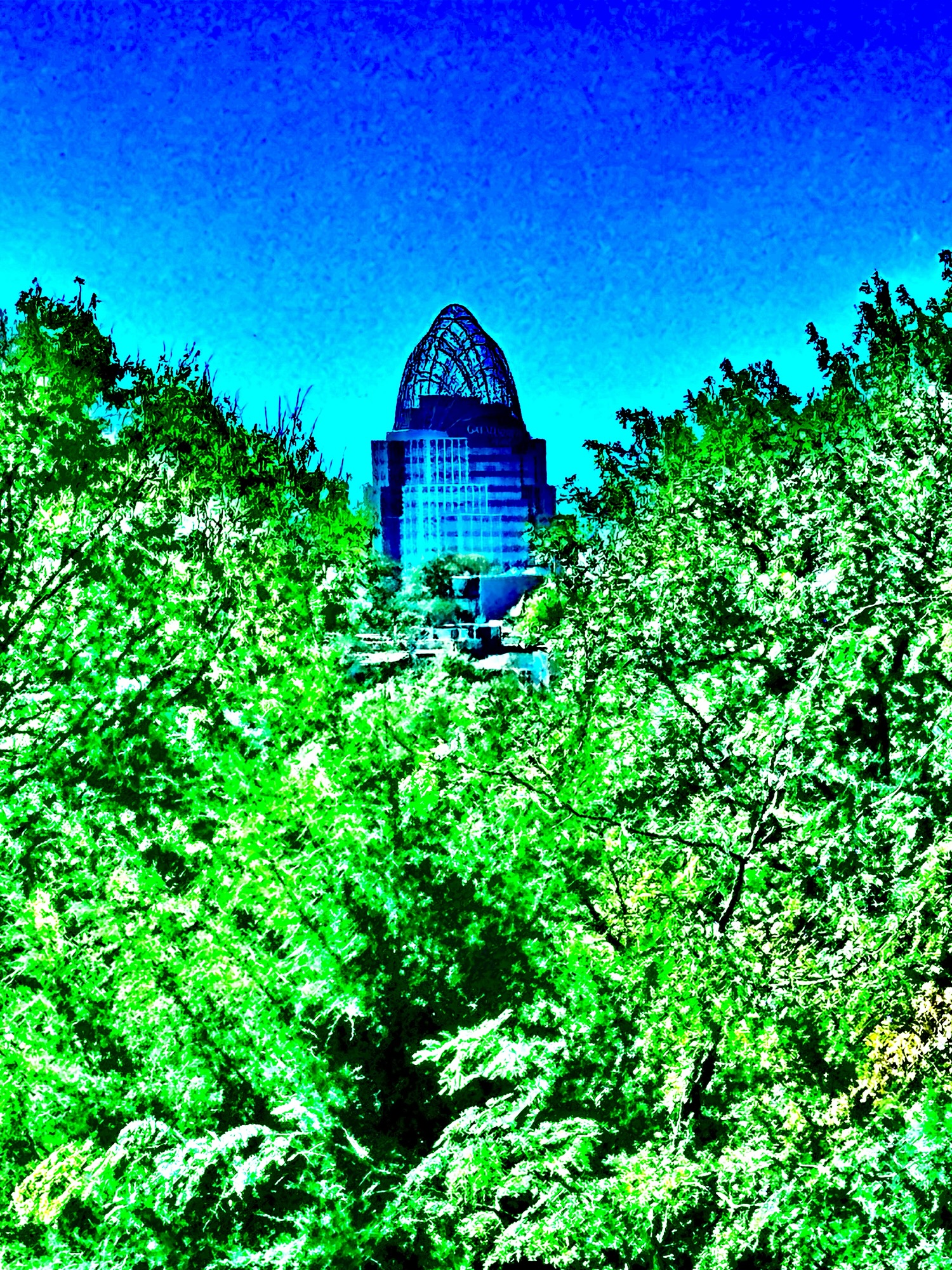 Photo Art: “Blooming”