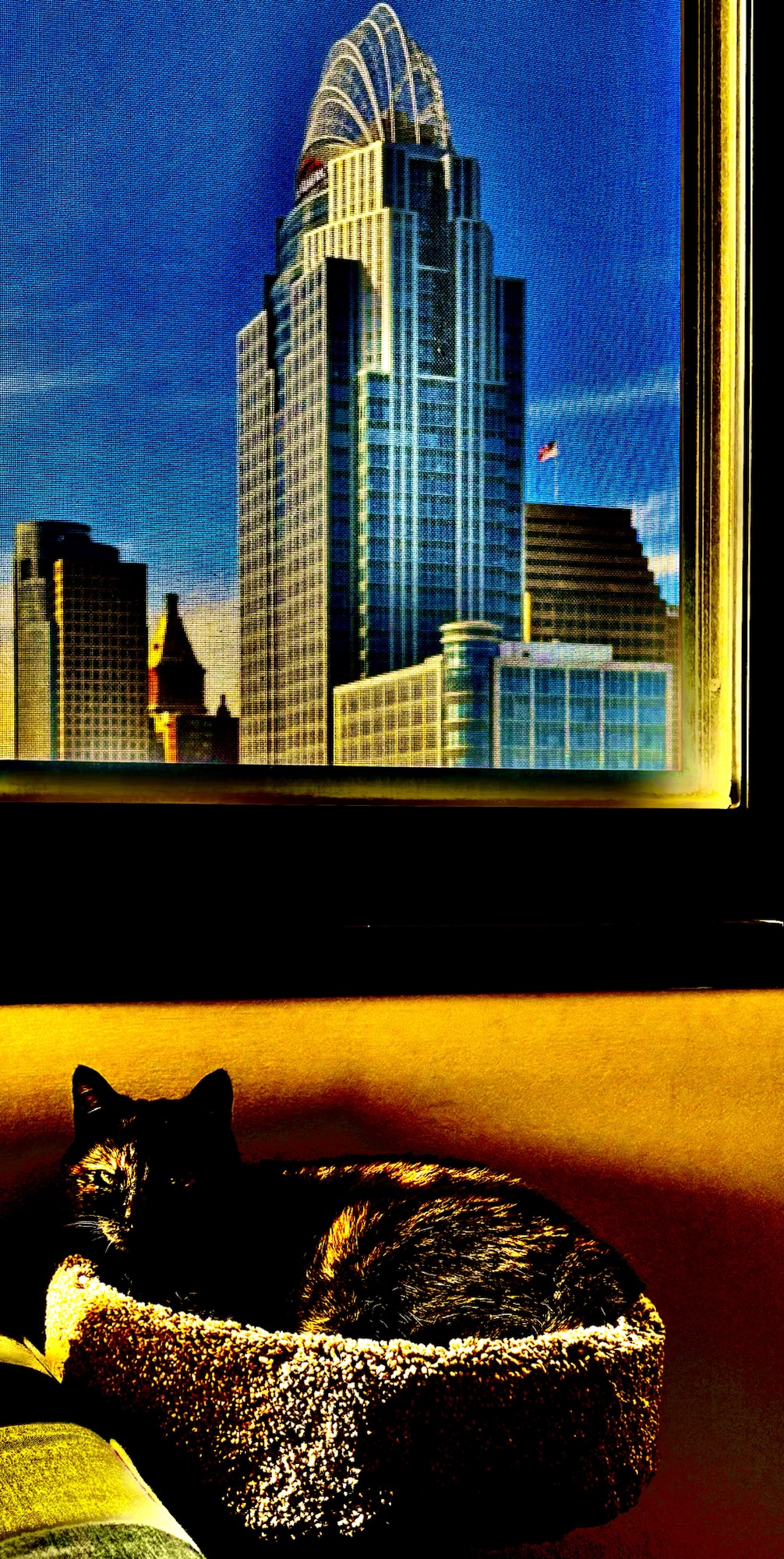 Photo Art: “Cat Bird Seat“