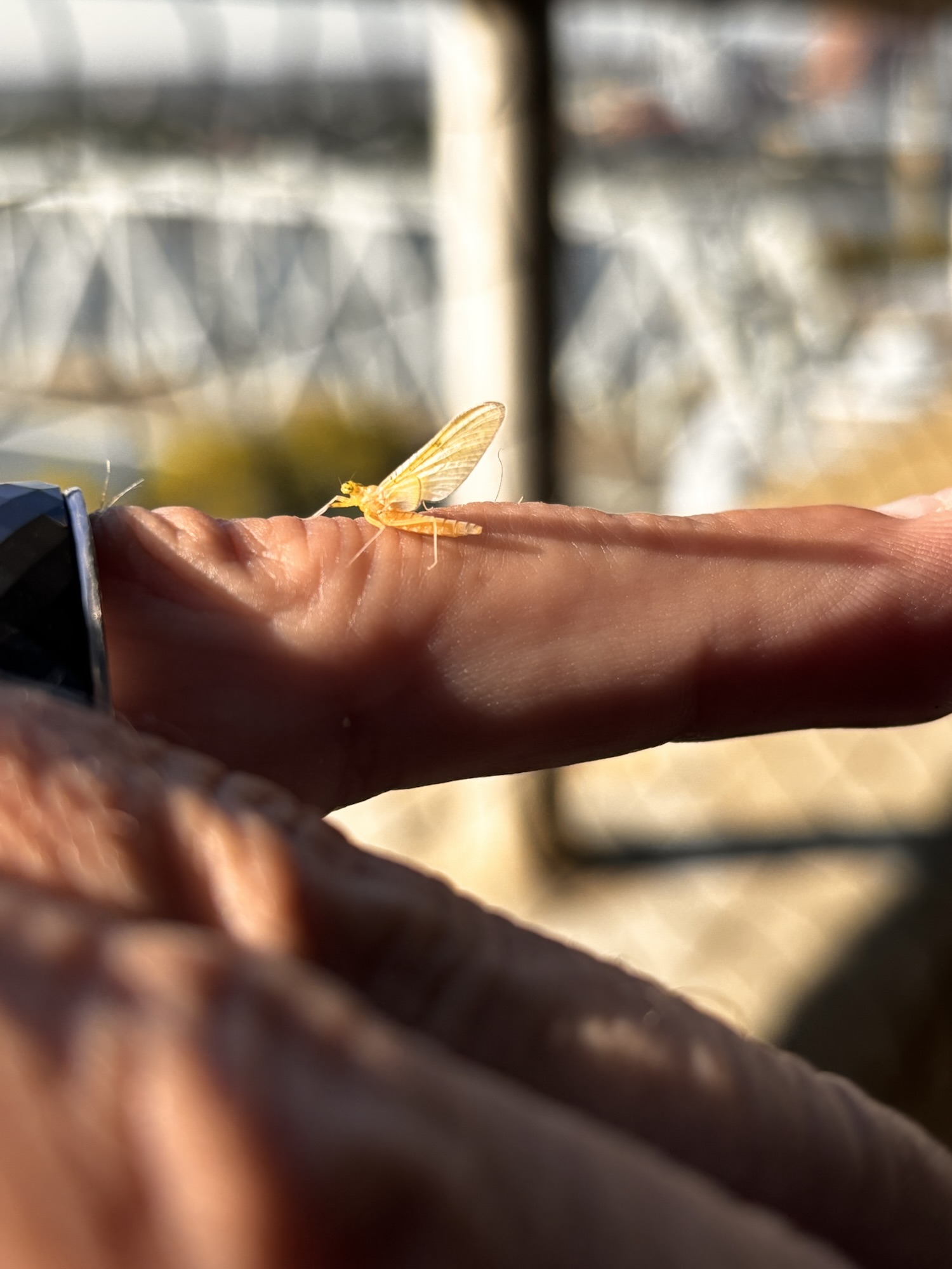 The Universe Seeks Balance