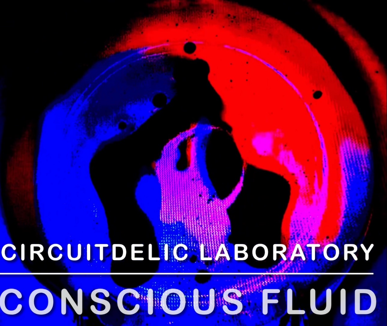 Conscious Fluid