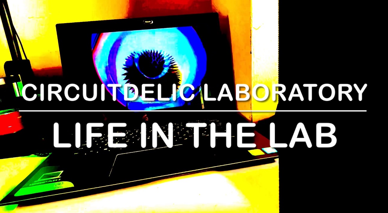 Life in the Lab