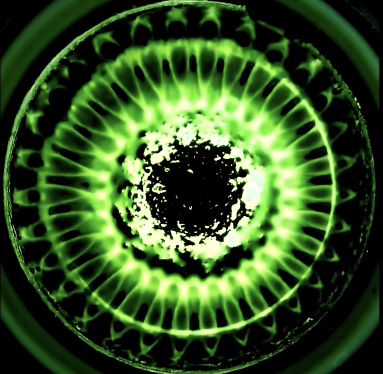 Cymatics Christmas Flower