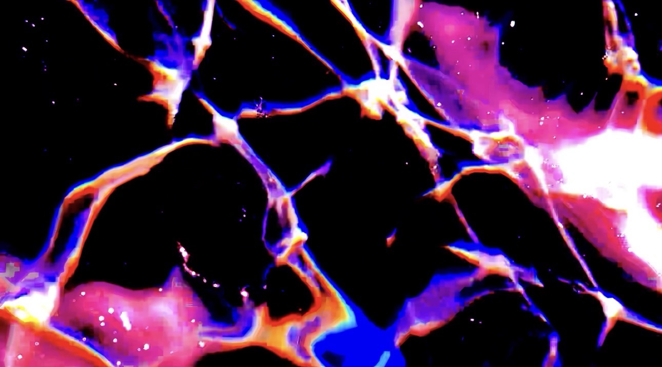 Liquid Consciousness
