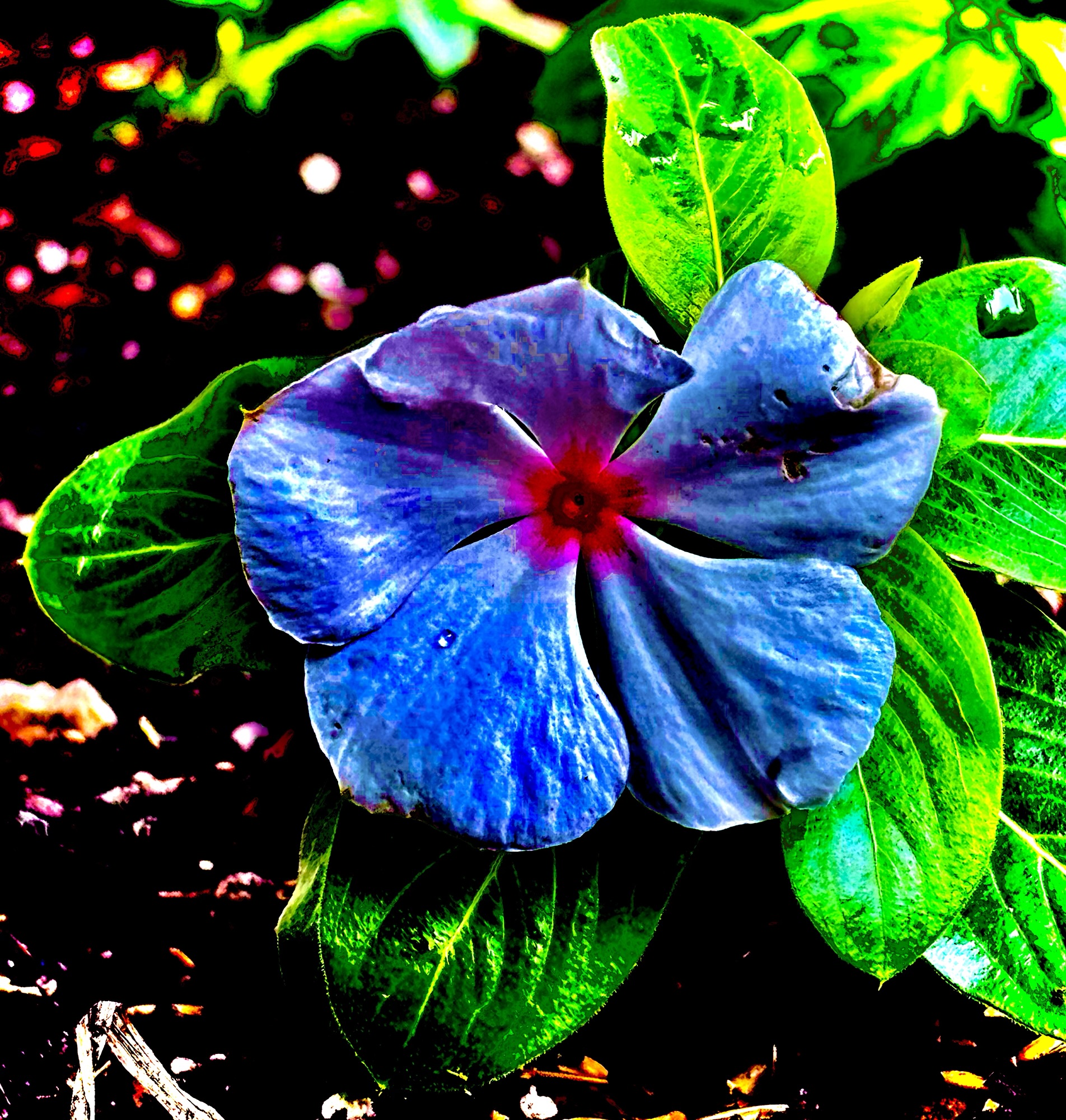 May Flowers